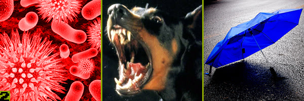 Virus + Doberman + umbrella = ?